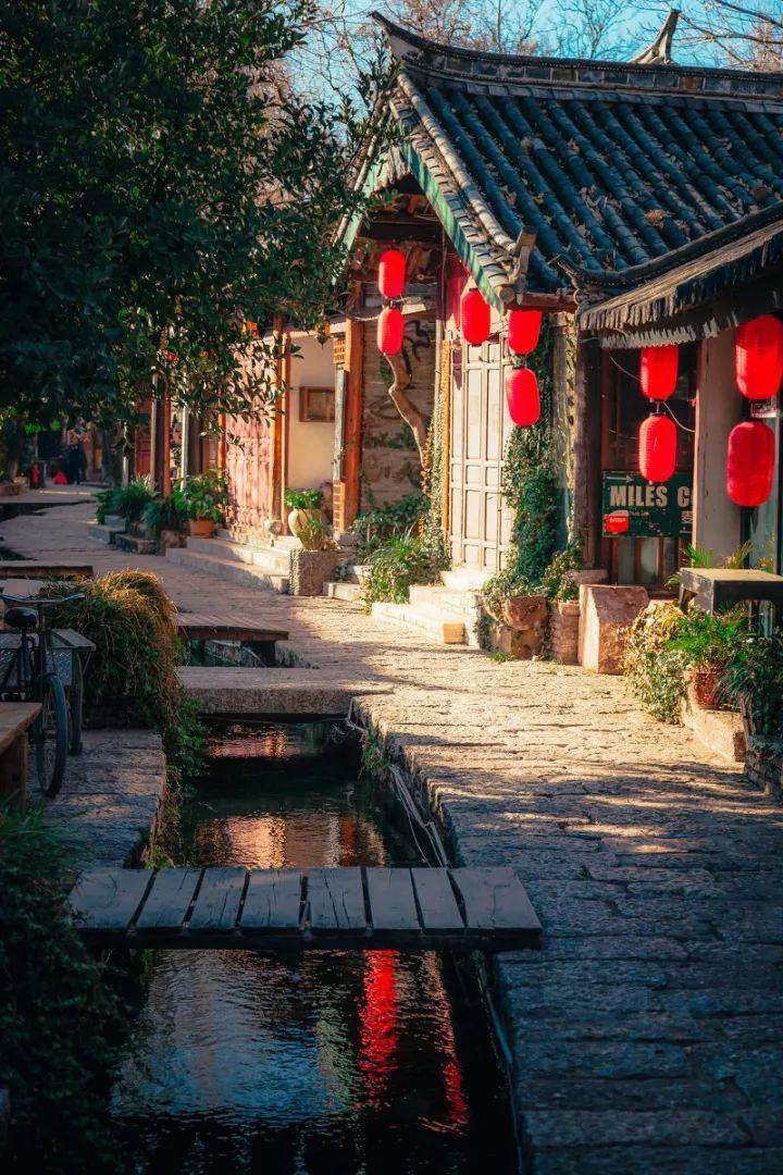 茂密丛林逃生
